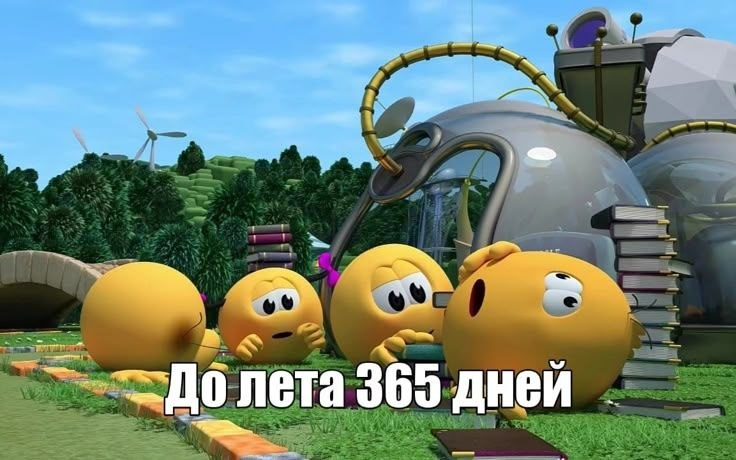 До лета 365 дней